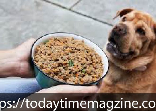 A Look into the 7 Nutritional Value of Chicken Meal in Dog Food