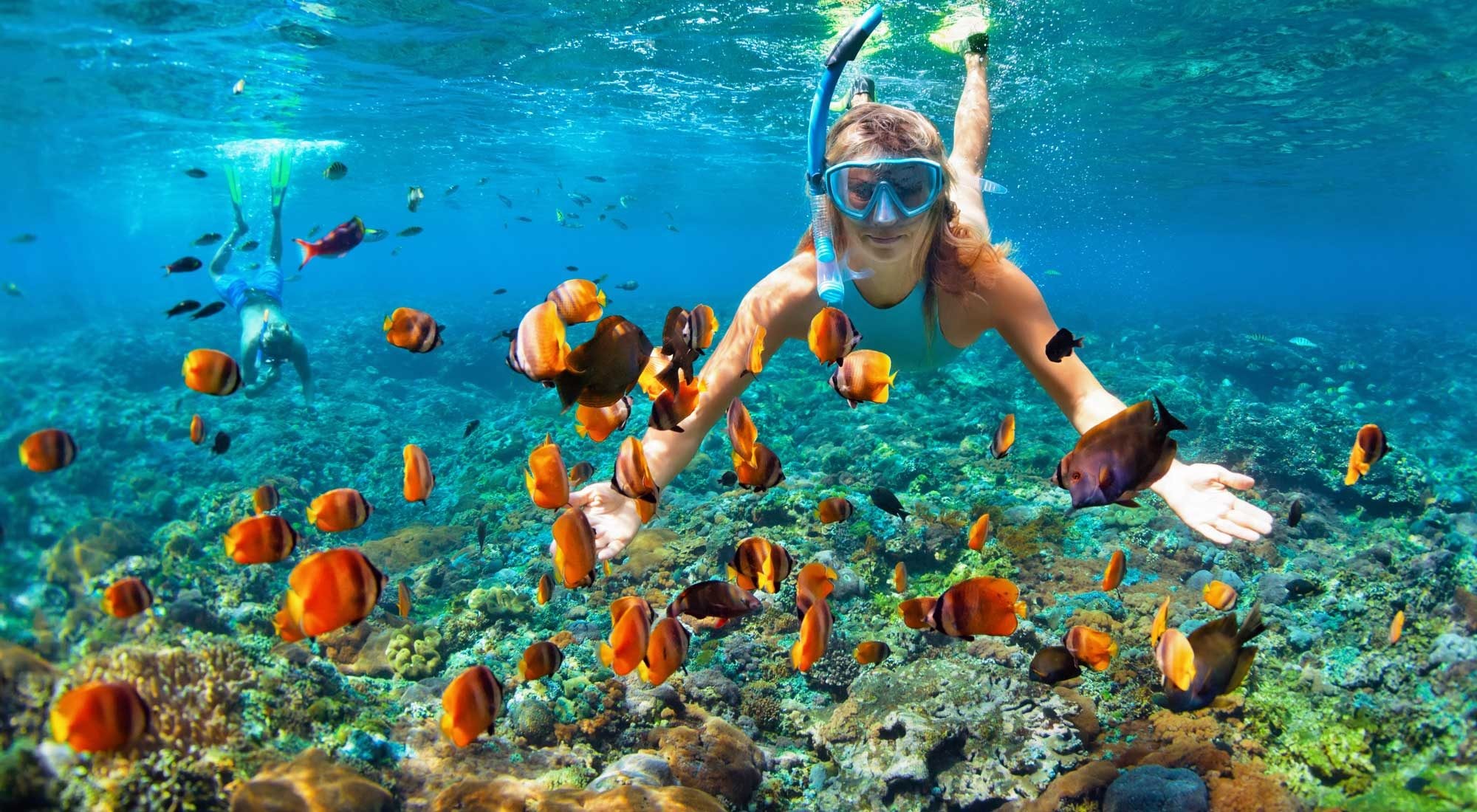 Dive into Paradise: Top 5 Snorkeling Spots in Crete for Current Year