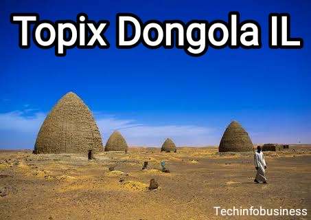 Topix Dongola IL: Key Insights and Essential Facts 2024